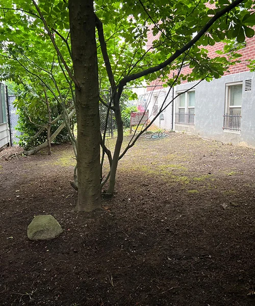 Landscape Maintenance in Kent 